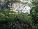 pic_08894.jpg