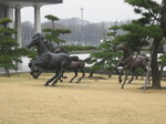 pic_08904.jpg