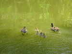 pic_02004.jpg