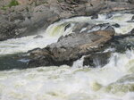 pic_02006.jpg
