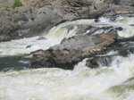 pic_02007.jpg