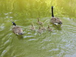 pic_02011.jpg
