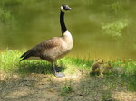 pic_02023.jpg