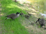 pic_02024.jpg