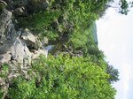 pic_02025.jpg