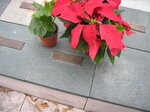pic_02197.jpg