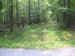 pic_02203.jpg