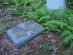 pic_02220.jpg