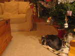 pic_02255.jpg