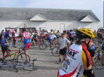 Seagull Century