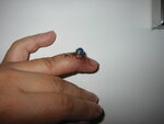 pic_02392.jpg