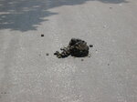 pic_02404.jpg