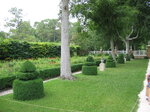 pic_02431.jpg