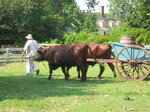 pic_02439.jpg