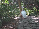 mov_aviary.mov
