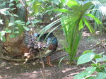pic_08946.jpg