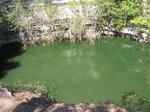 pic_08986.jpg