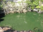 pic_08987.jpg