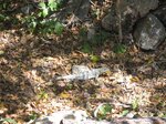 pic_08989.jpg