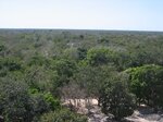 pic_09018.jpg