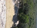 pic_09040.jpg