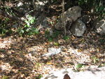 pic_09041.jpg