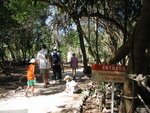 pic_09050.jpg