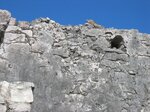 pic_09222.jpg
