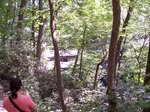 Don Fallingwater