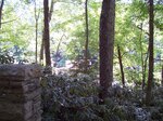 pic_09454.jpg