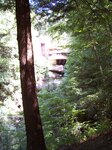 pic_09459.jpg