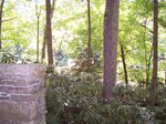 pic_09463.jpg