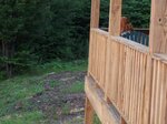 pic_09471.jpg