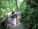pic_09527.jpg