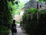 pic_09528.jpg