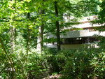 pic_09604.jpg