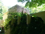 pic_09608.jpg