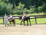 pic_09647.jpg
