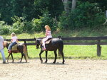 pic_09649.jpg