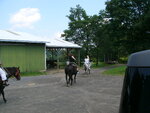 pic_09650.jpg