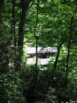 pic_09687.jpg