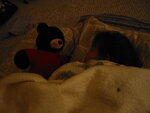 pic_09694.jpg