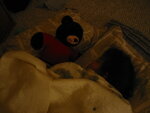 pic_09695.jpg