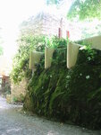 pic_09697.jpg