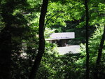 pic_09706.jpg