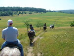 pic_09747.jpg
