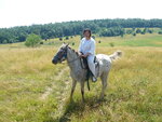 pic_09749.jpg