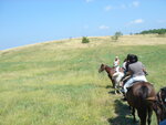 pic_09754.jpg
