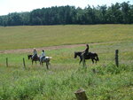 pic_09757.jpg