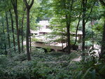 pic_09773.jpg